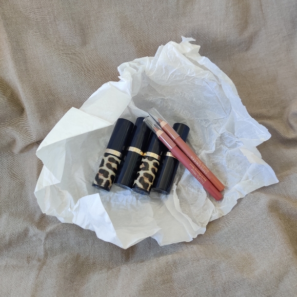 Estee Lauder Pure Color Envy Hi-Lustre Light Sculpting Lipstick - Slow Burn - Picture 5 of 5